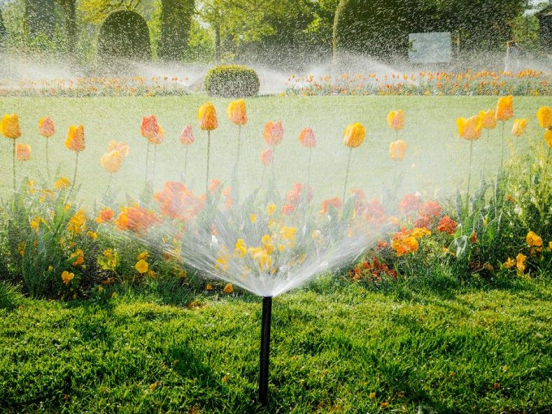 Giải pháp tưới cây tự động | Hệ thống tưới nước hoàn hảo | Istarhome.vn